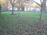 Particella, SANGIANO, 130.000 €, 2300,00 mq