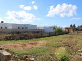 Particella, TAVIANO, 60.000 €, 657,00 mq