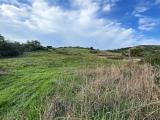 Particella, SANTA MARINELLA, 65.000 €, 30000,00 mq