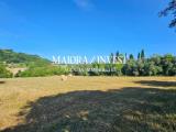 Particella, MONSAMPOLO DEL TRONTO, 50.000 €, 6200,00 mq