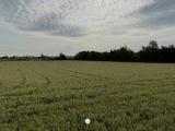 Particella, FIANO ROMANO, 3.000.000 €, 10000,00 mq