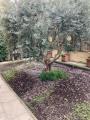 Affitto, Appartamento, FIRENZE, 1.500 €, 79,00 mq