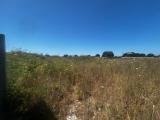 Particella, NETTUNO, 25.000 €, 2630,00 mq