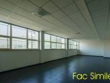 Affitto, Superfici commerciali, CAMPI BISENZIO, 2.700 €, 380,00 mq