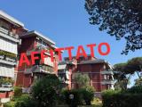 Affitto, Appartamento, ROMA, 1.150 €, 80,00 mq