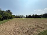 Particella, SCORZÈ, 33.000 €, 2960,00 mq