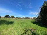 Particella, SESTO SAN GIOVANNI, 180.000 €, 7750,00 mq