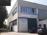 Affitto, Superfici commerciali, COLOGNO MONZESE, 6.250 €, 1000,00 mq