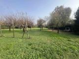 Particella, SAN PIETRO VIMINARIO, 65.000 €, 2230,00 mq