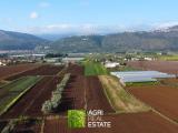 Particella, SEZZE, 120.000 €, 25000,00 mq