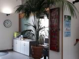Affitto, Superfici commerciali, CHIERI, 250 €, 16,00 mq