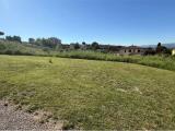 Particella, COLLAZZONE, 50.000 €, 2197,00 mq