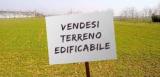 Particella, SALCEDO, 75.000 €, 715,00 mq