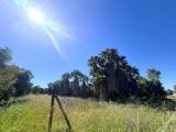 Particella, CASARANO, 35.000 €, 10800,00 mq