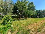 Particella, APPIANO GENTILE, 75.000 €, 1250,00 mq