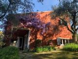 Casa, BARDOLINO, <i>A richiesta</i>, 250,00 mq