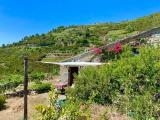 Casa, RIOMAGGIORE, 348.000 €, 100,00 mq