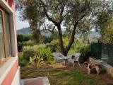 Affitto, Appartamento, CARRARA, 700 €, 55,00 mq