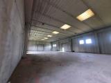 Superfici commerciali, MASSANZAGO, 700.000 €, 1000,00 mq