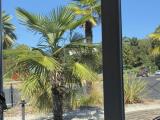 Superfici commerciali, MUSSOLENTE, 130.000 €, 170,00 mq