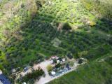 Particella, PISTOIA, Piteccio, 39.000 €, 17607,00 mq