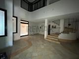Superfici commerciali, NETTUNO, 169.000 €, 168,00 mq