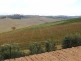 Superfici commerciali, MONTALCINO, <i>A richiesta</i>, 1300,00 mq