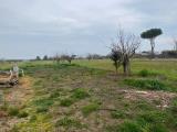 Particella, RIMINI, 55.000 €, 5297,00 mq