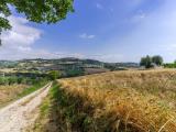 Particella, CIVITANOVA MARCHE, 30.000 €, 12000,00 mq