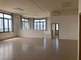 Superfici commerciali, LIVORNO, 130.000 €, 150,00 mq