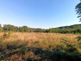 Particella, COSTERMANO, 165.000 €, 9020,00 mq