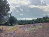 Particella, GIULIANOVA, 40.000 €, 6232,00 mq