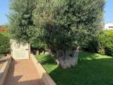 Casa, POLIGNANO A MARE, 240.000 €, 84,00 mq