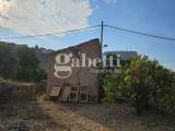 Particella, FICARAZZI, 55.000 €, 3630,00 mq