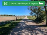 Particella, CAMPAGNANO DI ROMA, 700.000 €, 830,00 mq
