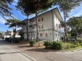 Appartamento, LIGNANO SABBIADORO, 169.000 €, 42,00 mq