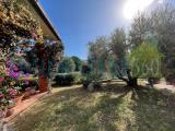Casa, ORBETELLO, 620.000 €, 237,00 mq