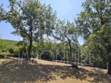 Particella, DUINO-AURISINA, 27.000 €, 1953,00 mq
