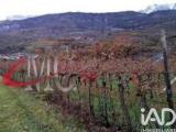 Particella, ROVERETO, Noriglio, 230.000 €, 9000,00 mq