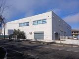 Affitto, Superfici commerciali, SOLARO, 4.000 €, 520,00 mq