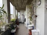 Appartamento, VIGEVANO, 97.000 €, 57,00 mq