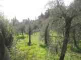 Particella, TOSCOLANO-MADERNO, 270.000 €, 777,00 mq