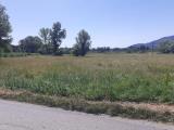 Particella, CAPANNORI, 15.000 €, 600,00 mq