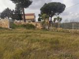 Particella, CALTAGIRONE, 11.000 €, 6340,00 mq