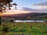 Casa, GREVE IN CHIANTI, 495.000 €, 240,00 mq