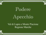 Casa, APECCHIO, 300.000 €, 220,00 mq