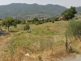 Particella, CUSANO MUTRI, 49.000 €, 5940,00 mq
