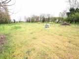 Particella, SANTA MARIA DI SALA, 40.000 €, 7237,00 mq