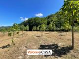 Particella, PONZONE, 35.000 €, 24767,00 mq