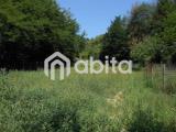 Particella, TERRANUOVA BRACCIOLINI, 15.000 €, 2000,00 mq